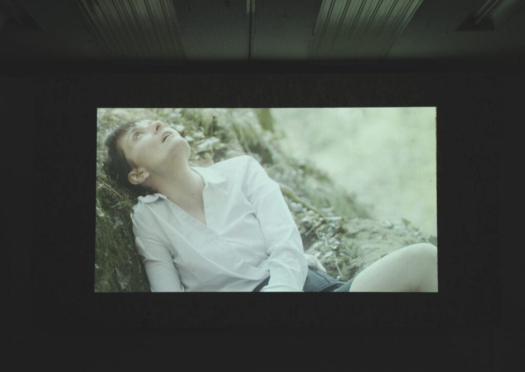 Swamps & Ponds, Forum Stadtpark