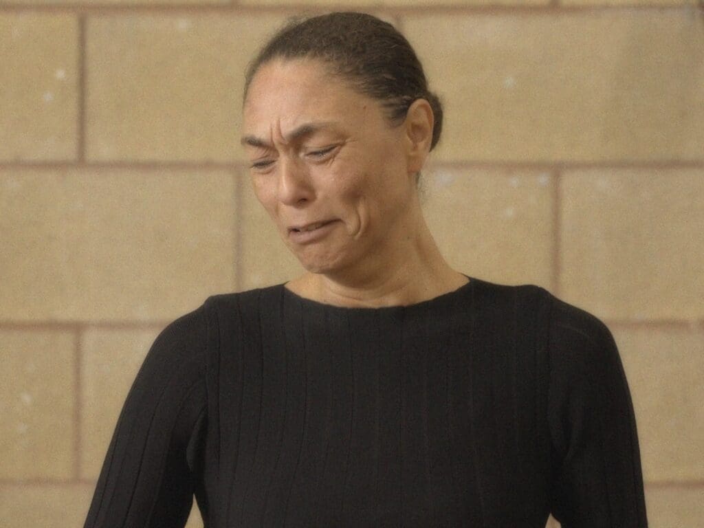 The Window (in production)